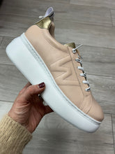 Load image into Gallery viewer, Wonders | Dorita Trainer