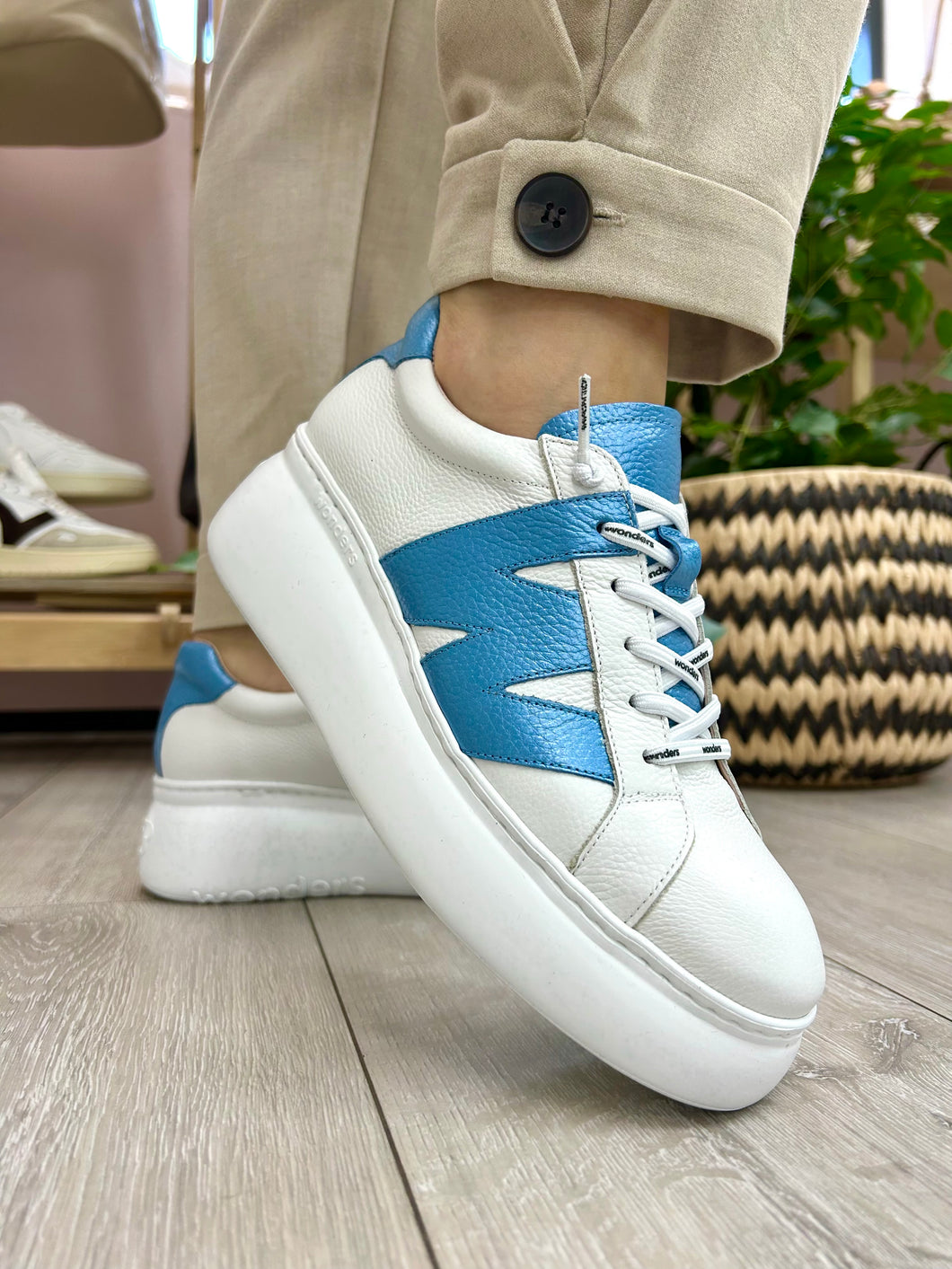 Wonders | Dorita Trainer