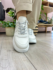 Wonders | Roma Trainer