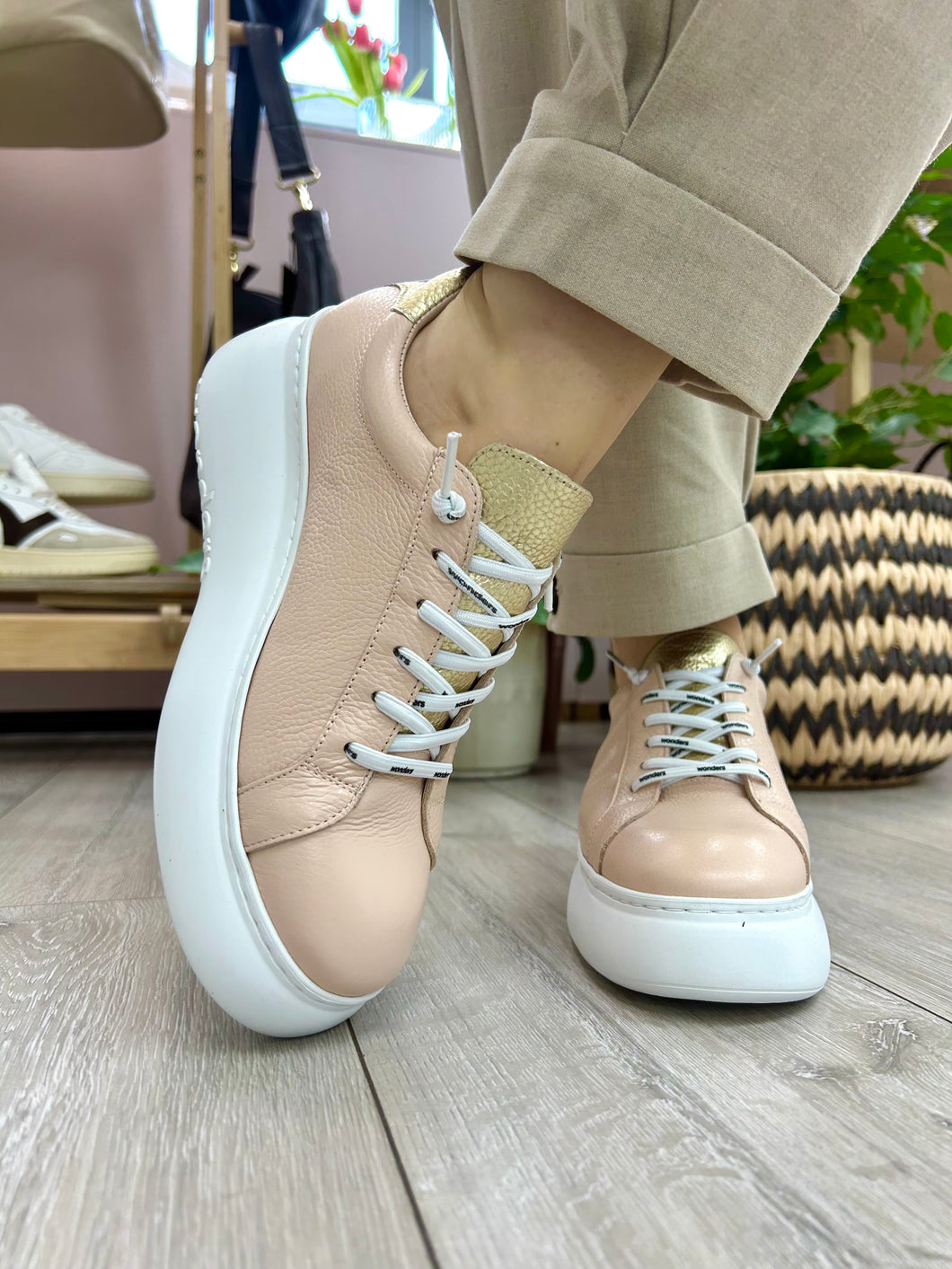 Wonders | Dorita Trainer