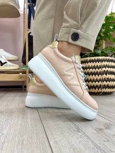 Wonders | Dorita Trainer