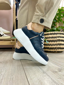 Wonders | Roma Trainer