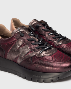 Wonders | Odisei Trainer | Burdeo