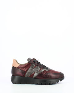 Wonders | Odisei Trainer | Burdeo