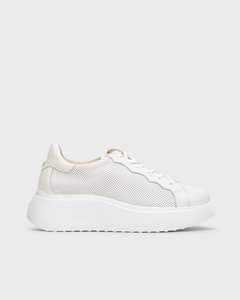 Wonders | Scalloped Laced Trainer