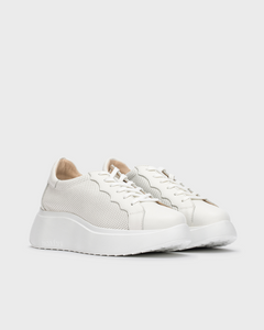 Wonders | Scalloped Laced Trainer