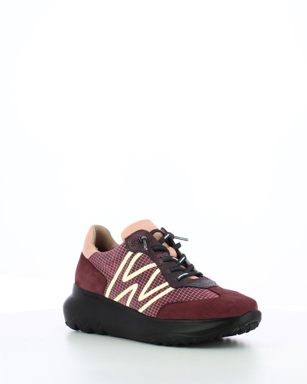 Wonders | Azure Trainer | Vino