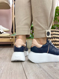 Wonders | Roma Trainer