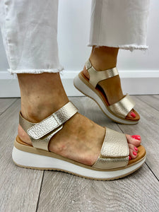 Oh! My Sandals | Velcro Wedge