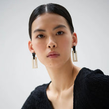 Load image into Gallery viewer, BRANCH | Rectangle Link Horn Earrings