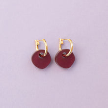 Load image into Gallery viewer, Surround Hoop Earring