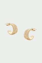 Load image into Gallery viewer, Tutti | Arctic Earrings