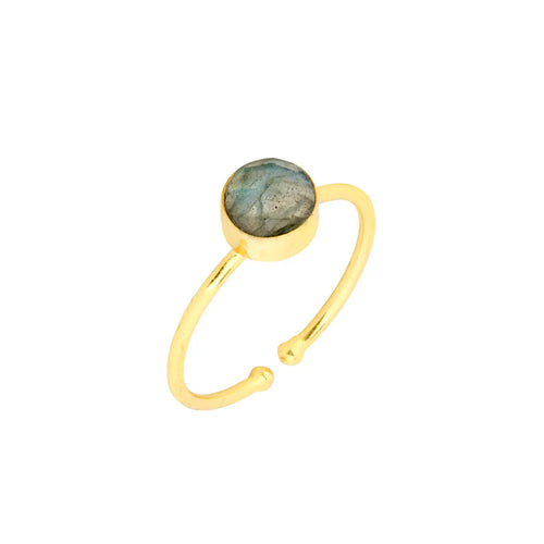 Ashiana | Dotty Ring | Labradorite