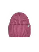Load image into Gallery viewer, Barts | Haveno UNISEX Beanie