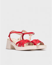 Load image into Gallery viewer, Wonders |  Catalina Sandal