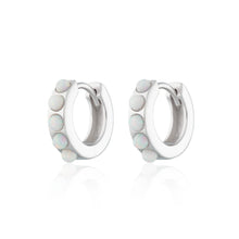 Load image into Gallery viewer, SP Opal Huggie Earrings